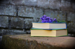 AKASHIカウンセリングの紹介写真_2枚目