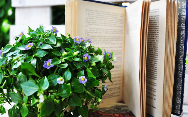 メールカウンセリング（チャット）の画像